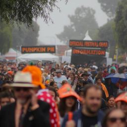 Oh My Gourd! Half Moon Bay Festival Delivers More Than Massive Pumpkins